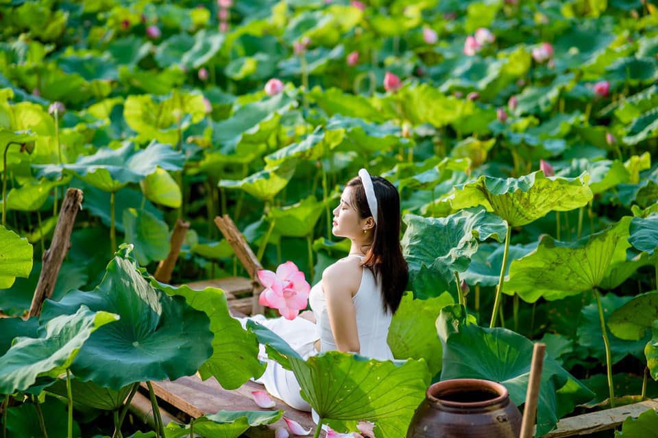 Mùa sen nở - linh hồn của Đầm Vân Hội