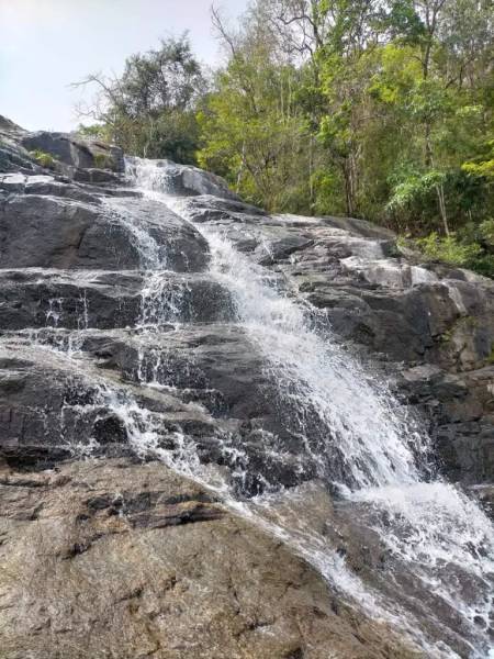 Đường vào Thác Vạn Mơ