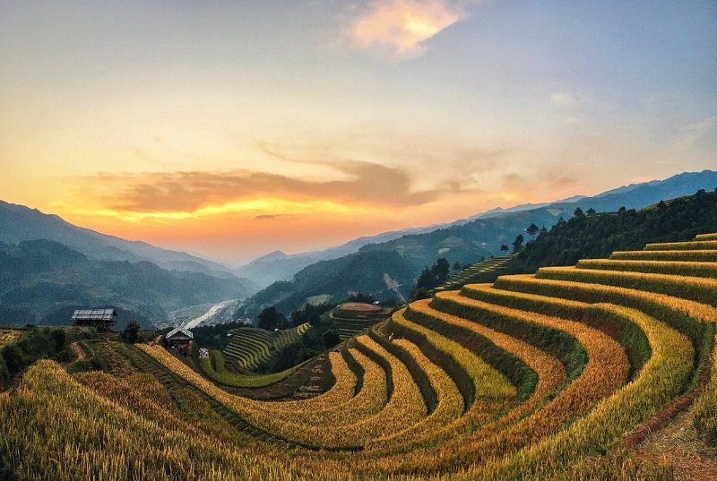 Đồi Móng Ngựa - Tuyệt tác ruộng bậc thang giữa mây trời