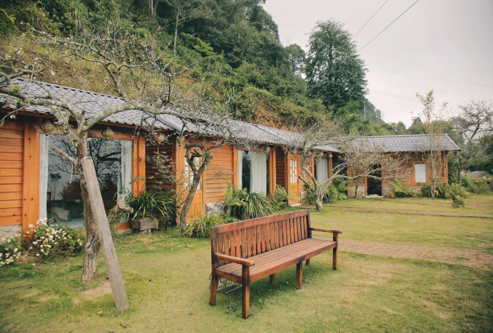 Top 10+ Homestay Tà Xùa view mây đẹp, giá rẻ, cực chill giữa núi rừng