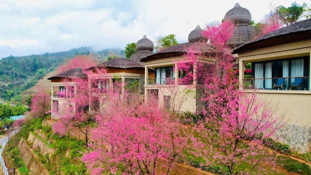 Top 10 resort Mù Cang Chải cao cấp đẹp như thơ giữa mây trời Tây Bắc