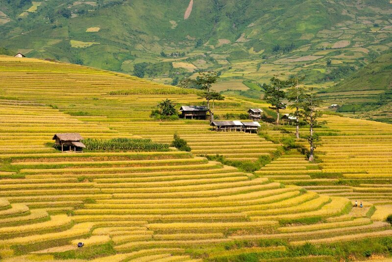 Mu Cang Chai Ecolodge - Nghỉ dưỡng giữa thiên nhiên ruộng bậc thang