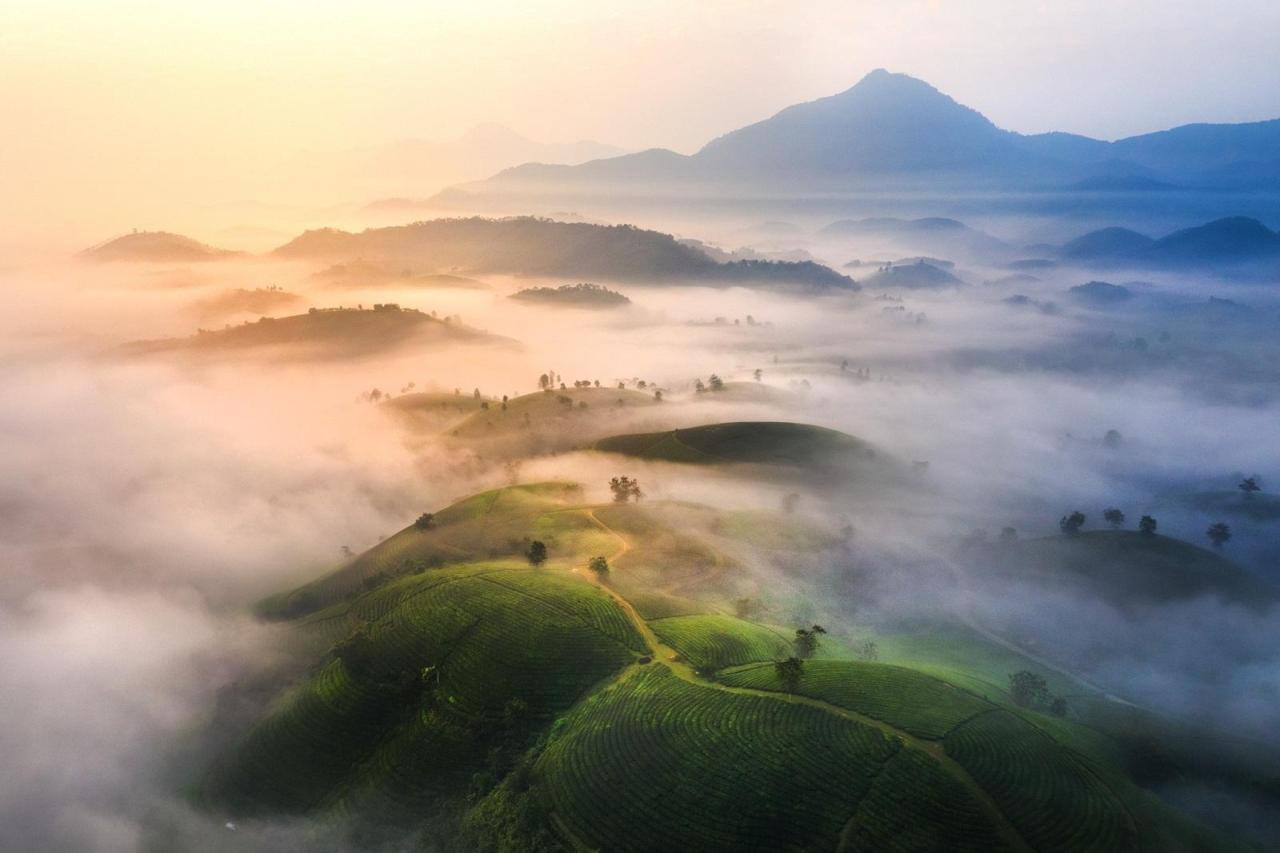 Săn mây: trải nghiệm không thể bỏ lỡ tại đồi chè Long Cốc