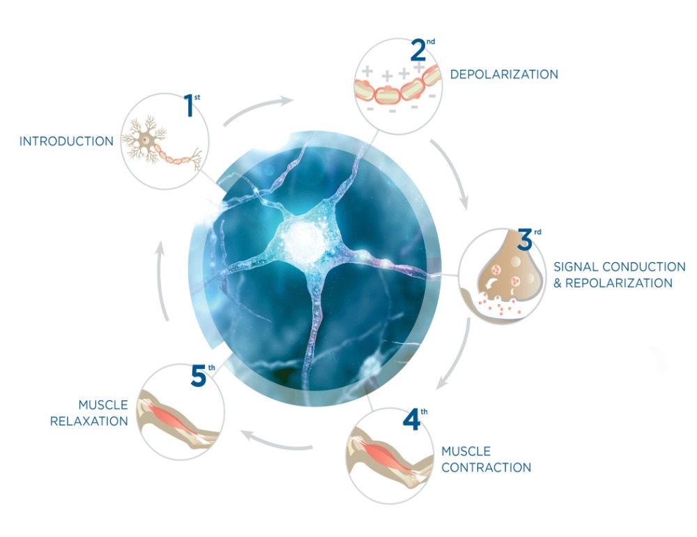 Tác động của nhiệt trị liệu đối với cơ thể